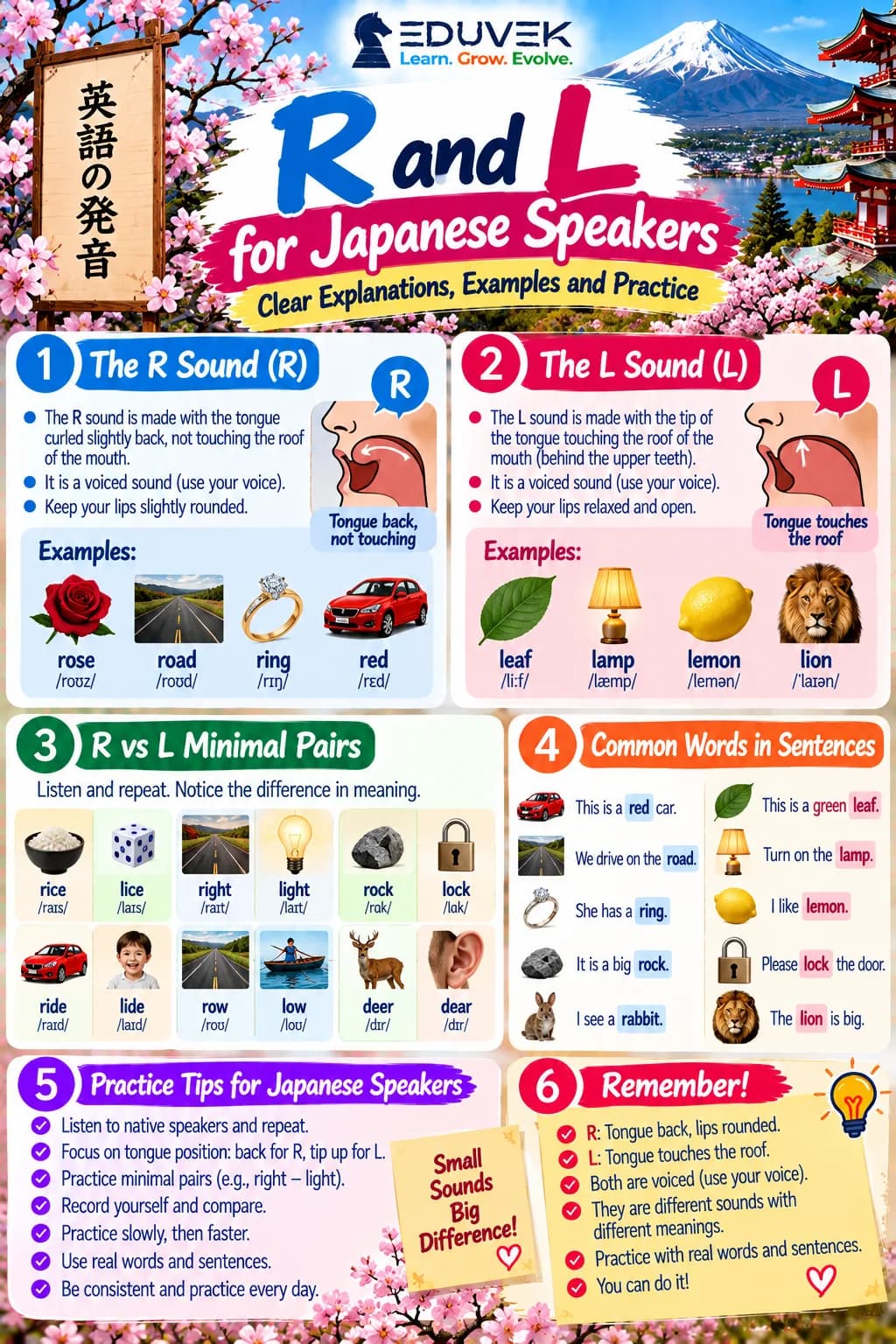 R and L for Japanese Speakers